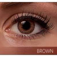 Freshlook Colorblends Brown