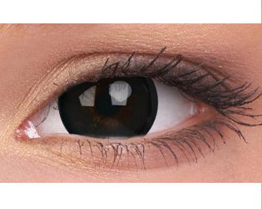 NEW! Sparkle Black Olive