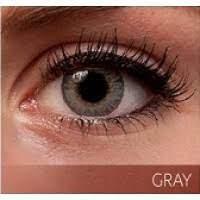 Freshlook Colorblends Grey